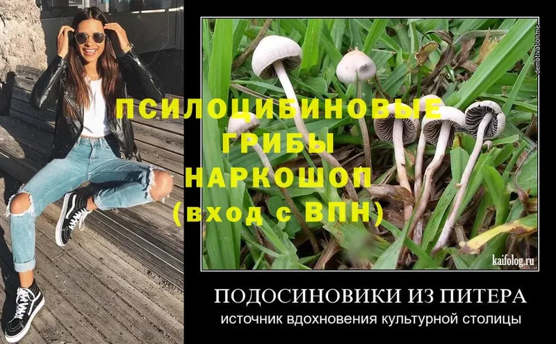 Галлюциногенные грибы MAGIC MUSHROOMS  omg ссылка  Барыш 